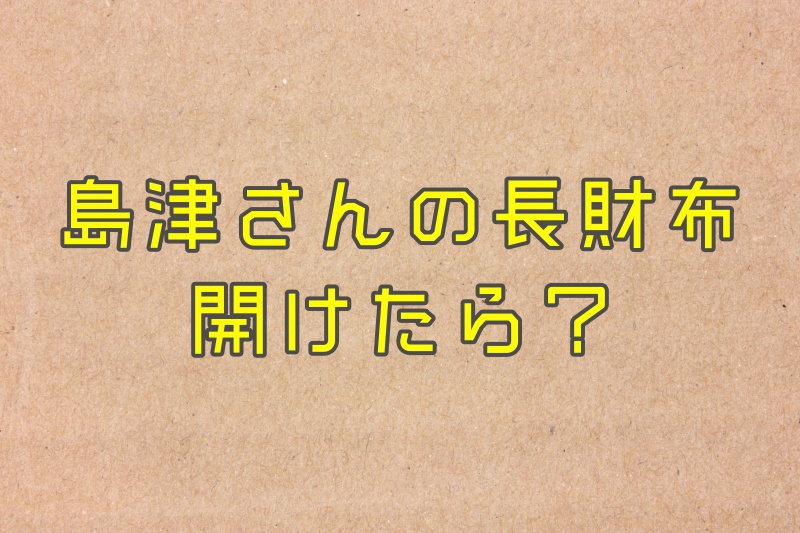 島津冬樹の長財布の中の構造は あけたところの写真を探してみた 豆太郎の仮想通貨 海外最新情報